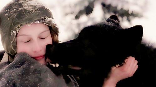 法国电影狼在线观看,法国惊悚电影,在线惊悚体验 第3张 法国电影狼在线观看,法国惊悚电影,在线惊悚体验 第3张