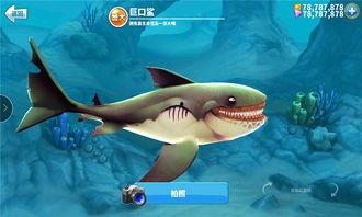 饥饿鲨最新版爆料,全新功能与升级亮点抢先看